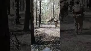  Russian special forces are clearing a pine forest near Krasny Liman