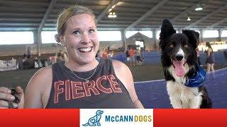 Rad's Canadian UKI Nationals Of Dog Agility Debut