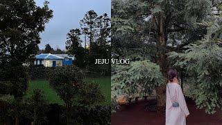 Jeju vlg. 제주도 브이로그 | 제주도 가족 여행 | 아부지 환갑 파티 | 다섯 시간 동안 수다를 떠는 가족이 있다 (!)