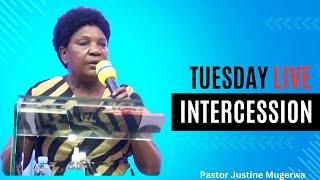 MCF: TUESDAY INTERCESSION SERVICE LIVE WITH PASTOR JUSTINE MUGERWA 24/12/-𝟐𝟎𝟐𝟒