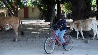 Abene Casamance - Guesthouse Diabatalo 2016