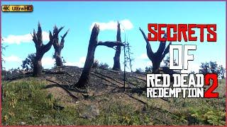 Secrets You Don't Know IN Red Dead Redemption 2