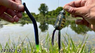 FISHING EXPERIMENT: Senko vs. the Frog!!!(Best EARLY SUMMER Pond Bass Fishing Lure)