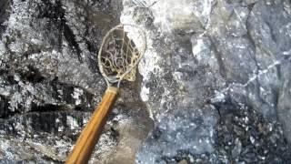 Egg picking at Cape Thompson Alaska