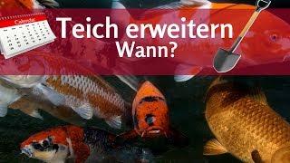 Wann am besten Teich vergrößern? Was beachtet werden sollte