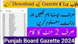 11th class gazette 2024 | how to download gazette | 1st year gazette