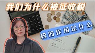 我们为什么要被征收税？税收的作用是什么，不合理税收会导致什么？｜经济学系列知识#15