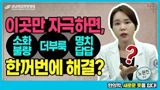 소화불량, 명치답답, 더부룩함 등 여러 소화기 장애를 스스로 치료하는 방법은?_위담 유튜브 강의 프로젝트 [76강]