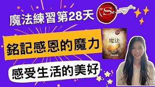 《秘密》第28天：銘記感恩的魔力,感受生活的美好感恩練習教學｜吸引力法則｜感恩練習｜顯化法則