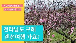 꽃담길 구례 산수유 사랑공원