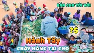 Quanglinhvlogs || Hành Tây "Cháy Hàng" Ngay Ngày Đầu Ra Quân - Thu Nhập[ Khủng ???