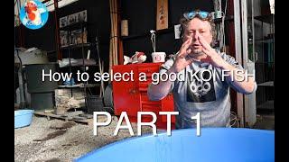 How to select a good Koi fish | PART 1