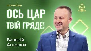 Ось Цар твій гряде! - Валерій Антонюк про в'їзд Ісуса Христа в Єрусалим (Зах. 9:9)