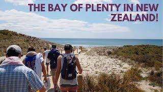 Welcome to the Bay of Plenty, NZ