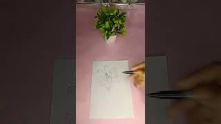 how to draw a butterfly drawing 