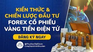 Thư Viện Tài Chính | Youtube Chính Thức Của THUVIENTAICHINH.COM | Học Đầu Tư Forex Online Miễn Phí