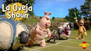 100m Planos - Las Champiosheeps - La Oveja Shaun