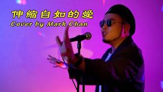 陳蕾 @ThePantherChan - 伸縮自如的愛 (cover by Mark Chan)