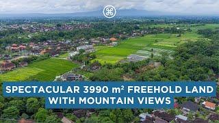 Spectacular 3990m2 Freehold Landplot for Sale in Buwit with Mountain views