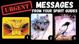 URGENT Messages From Your Spirit Guides!  ⎮pick a card 🃏⭐️