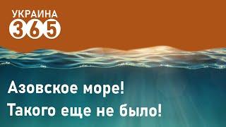 Тысячи украинцев ринулись на Азовское море, пляжи забиты.