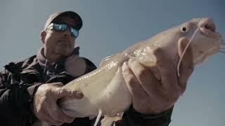 Whisker Seeker Tackle: The Ultimate Gear for Catfish Anglers