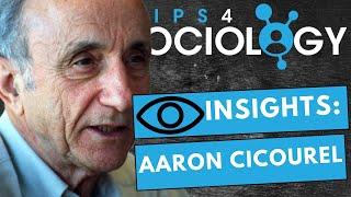 Aaron Cicourel - Typifications (Typical Offender) | INSIGHTS | A-Levels/GCSE | Sociology