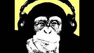 Monkey Business #HouseMusicAllLifeLong