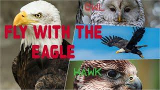 FLY WITH THE EAGLES