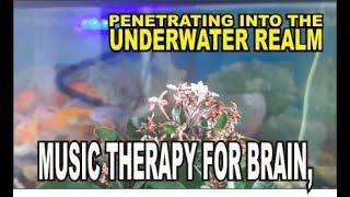 Musik Relaksasi, SPA & Meditation ,Terasa Berada Di Negeri Bawah Laut ( therapy for brain)