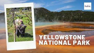 Yellowstone National Park: What to See on the South Loop