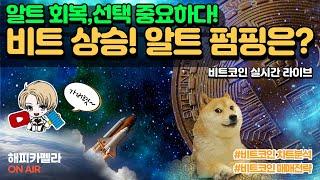 비트코인 실시간, 비트 상승 중! 알트 펌핑! 선택이 중요하다! 오늘 저녁 CPI 발표! 3월 14일 점심