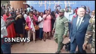 Gabon | Environnement | Lee James Taylor White : la chute !