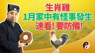 命理測算：生肖雞，2025年1月家中有異象，會有奇怪事情發生！不可不知，速看！ #2025年生肖雞運勢 #2025年生肖雞運程 #2025年屬雞運勢 #2025年屬雞運程