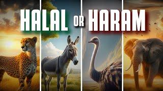 HALAL, HARAM & MAKRUH foods for Muslims | Islam Dietary Rules