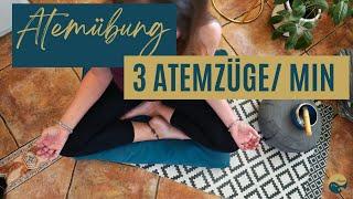 3 Atemzyklen pro Minute  I reduzierte Atmung I Atemübung mit reduzierter Atmung I Buteyko Atemübung