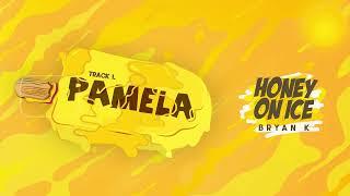 Bryan K - PAMELA