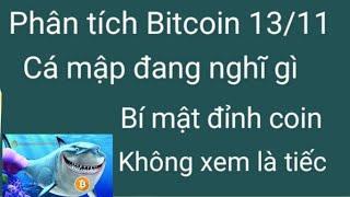 Phân tích bitcoin altcoin hôm nay ngày 13/11 cập nhật thị trường crypto mới nhất hôm nay