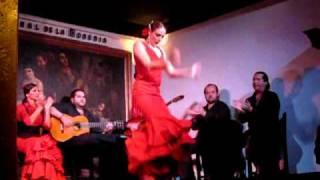 Flamenco! (part 4)