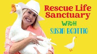 RESCUE-LIFE SANCTUARY WEST PALM BEACH, FL with SUSAN BEATTIE & GOOSE