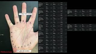 Grip alignment F1P2 test & full stats overview - tech disc tests disc golf