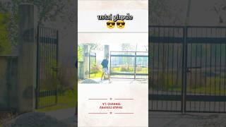 Ustaj girpde entry #shortsfeed #comedy