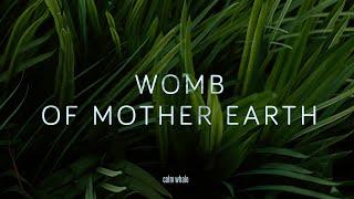 Slow Shaman Drum : ROOT Chakra : Rebirth of Mother Earth  Deep Grounding Meditation