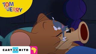 Tom and Jerry: Tiny Tom | Cartoonito Africa