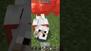 New wolf armour makes me crazy many updates in our shorts#1million #minecraft #silentwisher