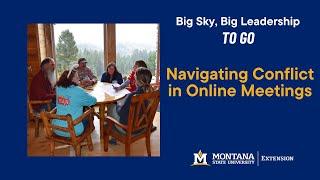 Navigating Conflict in Online Meetings