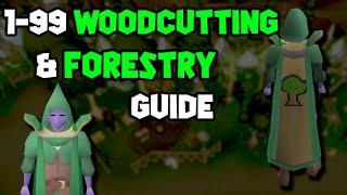 OSRS 1-99 Woodcutting & Forestry Guide | Updated Woodcutting Guide