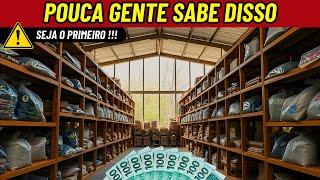 13 Negócios PEQUENOS e LUCRATIVOS que te Darão Bons Lucros