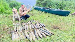 Fishing for Monster Northern Pike In Alaska(Flipped the Canoe)