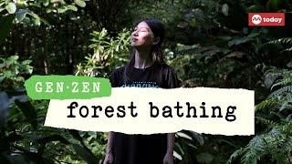 Gen Zen: What is forest bathing and what does it do?